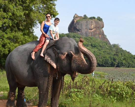 Elephant Back Rides